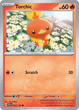 Torchic #22 - Pokemon Journey Together
