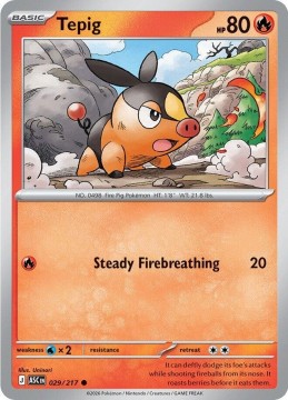 Tepig ENERGY PATTERN #29 - Pokemon Ascended Heroes