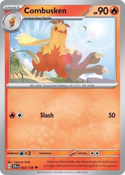 Combusken #23 - Pokemon Journey Together