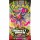 Pokemon - Perfect Order Booster Pack 